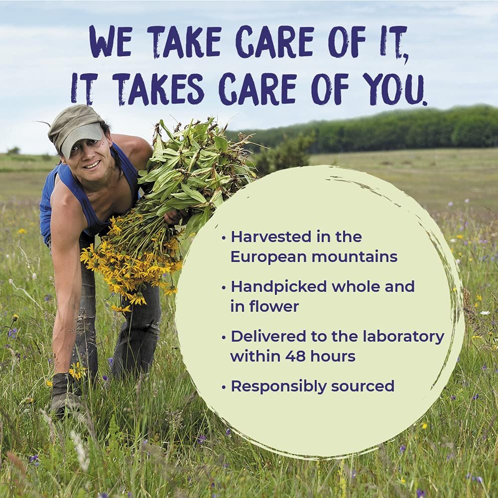 Boiron Arnica Montana 30C Homeopathic Medicine for Relief from Muscle Pain, Muscle Stiffness, Swelling from Injury, and Discoloration from Bruises - 3 Count (240 Pellets) 24Hr Smart